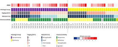 Somatic mutation detection and KRAS amplification in testicular germ cell tumors